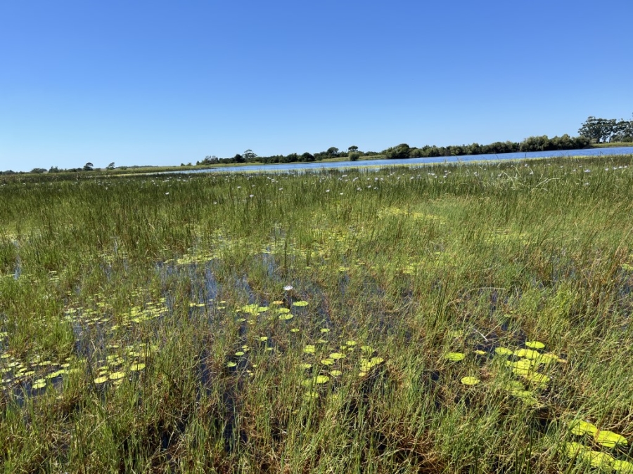 Commercial Property for Sale in Bathurst Rural Eastern Cape